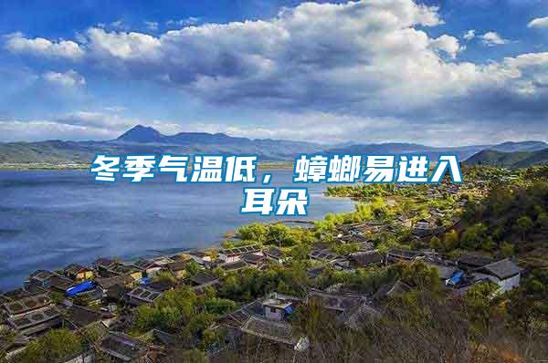 冬季氣溫低，蟑螂易進入耳朵
