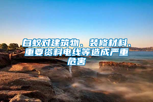 白蟻對(duì)建筑物、裝修材料、重要資料電線等造成嚴(yán)重危害