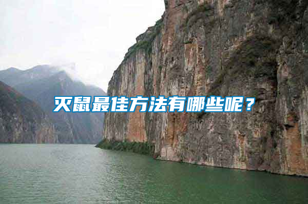 滅鼠最佳方法有哪些呢？