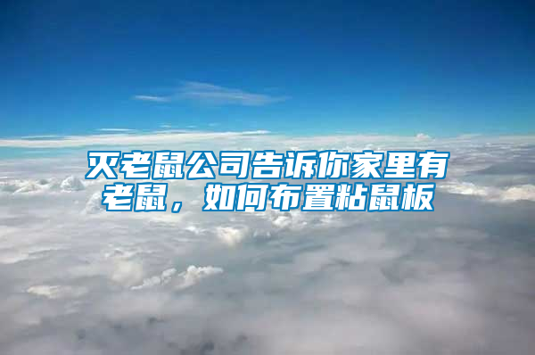滅老鼠公司告訴你家里有老鼠，如何布置粘鼠板